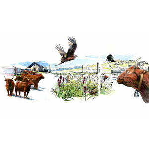 Illustration Visite guidée de l'Espace Cézallier