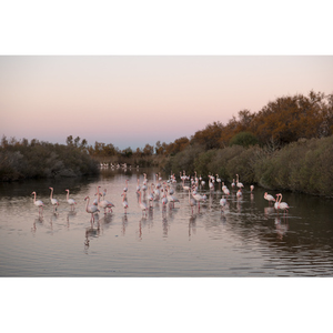 Illustration Visite guidée | Exposition " Chambre 207 "