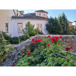 Illustration Visite guidée - La jardin du musée