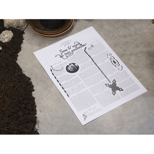 Illustration Visite-lecture dans l’exposition « Primavera, Primavera »