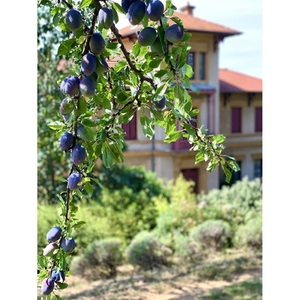 Illustration Visite libre d'un éco-circuit dans une ferme permacole