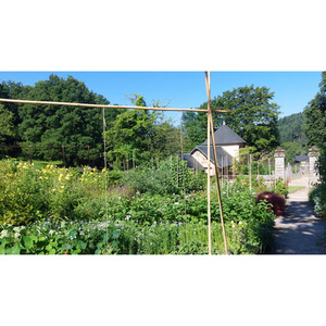 Illustration Visite libre du jardin permacole du domaine du Gasseau