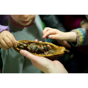 Illustration Visite multisensorielle de l'exposition "Domestique-moi si tu peux !"