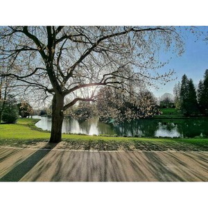 Illustration Visite olfactive au parc Barbieux