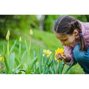 Illustration Visite thématique du mois : Sensorielle