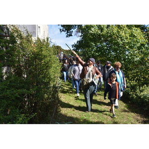 Illustration Visites guidées décalées du patrimoine local