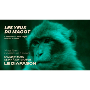 Illustration Visites Les Yeux du Magot