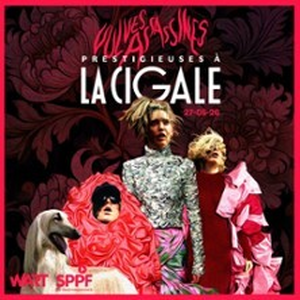 Illustration Vulves Assassines