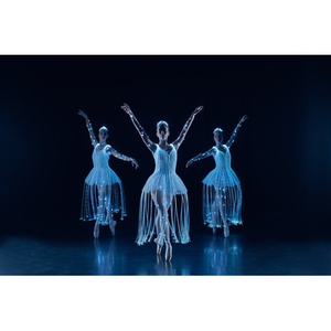 Illustration WE CALL IT BALLET