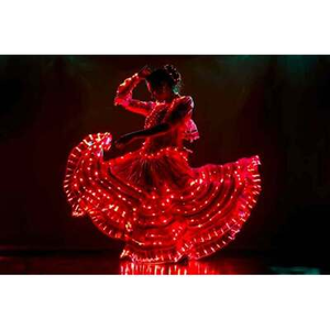 Illustration WE CALL IT FLAMENCO