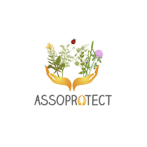 Illustration Webinaire ASSOPROTECT