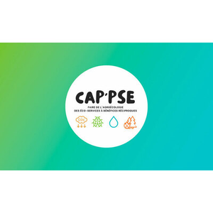 Illustration Webinaire de clôture du projet CAP'PSE