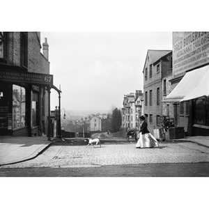 Illustration Zola photographe